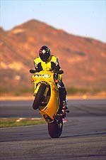manufacturer year 2000 world supersport shootout 15648, Is that Foggy or Minime We ll never tell