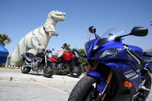 motorcycle com, Will the fearsome Tyrannosaurus keep its eggs safe from the odd looking new creatures