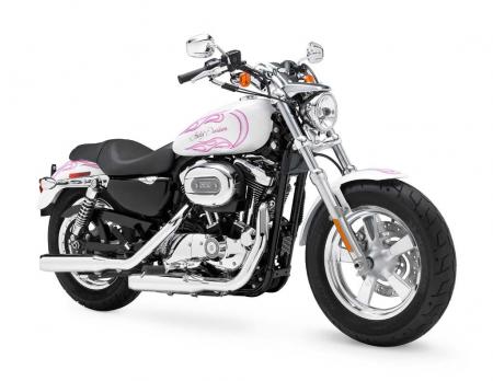 2011 harley davidson 1200 custom announced, The H D1 Factory Customization program lets customers can customize their 1200 Customs That s quite a custom mouthful