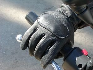 2003 lee parks design deersports gloves
