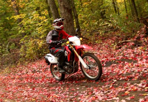 off road riding in toronto s backyard video, Beautiful fall colors were on full display but I was focussed on not dumping the new CRF250L