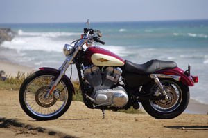 2006 light middleweight cruiser comparison motorcycle com, Sun Fun and a Sportster