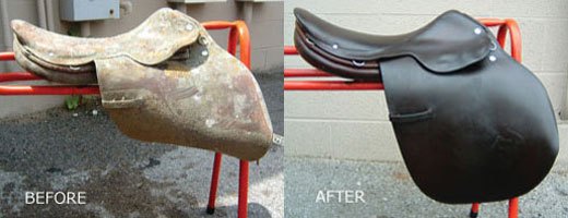leather therapy preview, This is a before and after of a badly mildewed saddle that was restored using Leather Therapy products