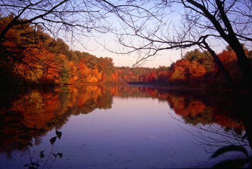 new england motorcycle travel destinations, Fall Foliage in Massachusetts