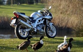 Suzuki SV-1000S: Fast 'n Fun for Everyone - Motorcycle.com
