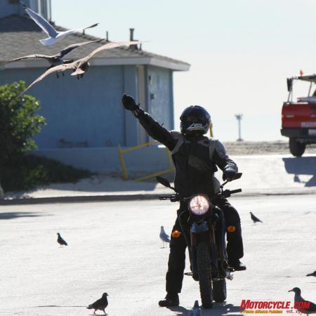 2010 zero ds review motorcycle com, Since we are so enviro friendly and all that on our zippy electric ride we thought we d take a minute to feed the seagulls and pigeons