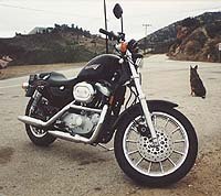 first impression 98 sportster sport motorcycle com