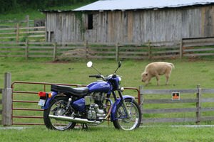 motorcycle com, Please send dirty jokes involving barnyard animals here