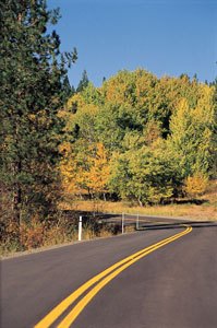 pacific northwest motorcycle travel destinations, Tree lined road near Merritt Photo courtesy Tourism British Columbia