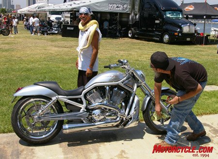 2008 l a calendar bike show, Then we spotted a V Rod that had it right Mike DuFresne aka Lil Emery a V Rod custom parts designer checks out his new grille inserts on bike belonging to Metal Sport Inc Cool parts include sweet swingarm pipes wheels available from Aaron Aubrey at Ghostrider Customs leading guru of custom V Rod parts More info at or call 949 395 8888 Guy with python made too sharp a turn at the Garden of Eden