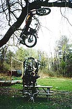 mother s roadhouse, The motorcycle tree