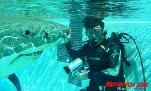 bob gill jet bike project, Eddie scuba dives with live sharks and creates mechanical Great Whites for movies
