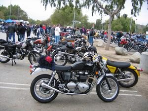 25th annual hansen dam british bike rally, Amongst the slew of 1960s Trumpets there were several of the new highly successful breed of Triumphs in attendance both in stock and customized form