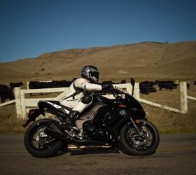 2011 kawasaki ninja 1000 review first ride motorcycle com, One hundred thirty some horses rustle past a handful of cows We all got along fine till the farmer told us to stop our drive by shooting in his little nook of NorCal paradise