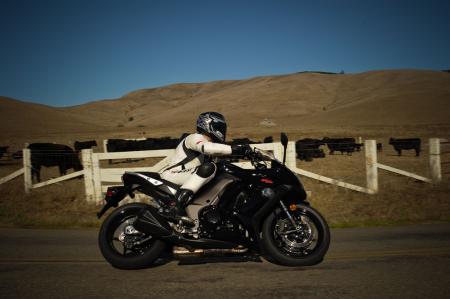 2011 kawasaki ninja 1000 review first ride motorcycle com, One hundred thirty some horses rustle past a handful of cows We all got along fine till the farmer told us to stop our drive by shooting in his little nook of NorCal paradise