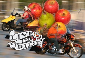scooters vs motorcycles, Live to Ride Ride to pick up the groceries