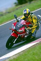 first ride 1999 yamaha yzf r6 motorcycle com, Aaron Elmo Hammel post low side