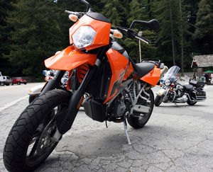 2006 ktm 950 supermoto quick ride motorcycle com, 950 Supermoto with its natural predators