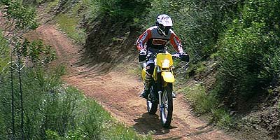 2001 suzuki dr z250 motorcycle com