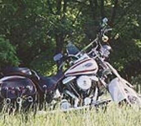 1997 deals springer softail