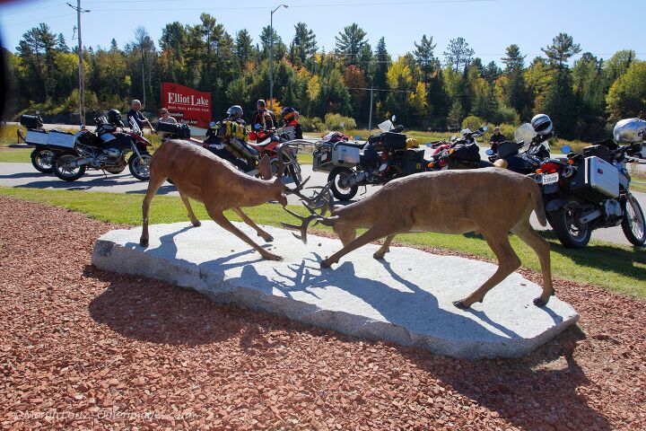 the most scenic rides in ontario, Deer Trail Touring Route Elliot Lake Photo by Martin Lortz