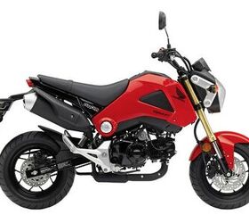 What the Heck is a Monkey Bike? | Motorcycle.com