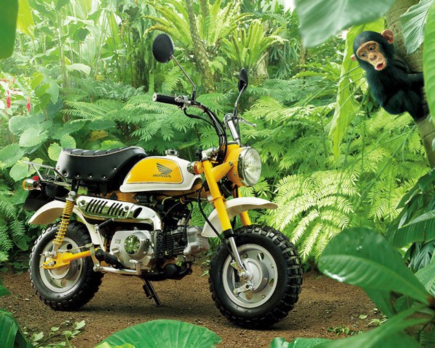 what the heck is a monkey bike, The Z50J Monkey Bike remains a part of Honda s lineup today