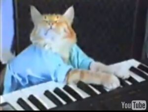 play him off keyboard cat motorcycle edition 4 videos