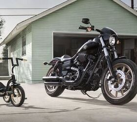 Live Your Legend, Says H-D