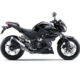 Naked Ninja 300 Coming Stateside? | Motorcycle.com