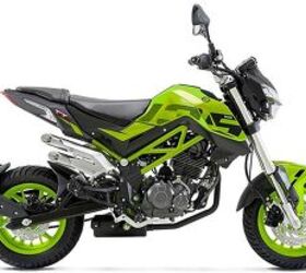 2021 benelli on sale