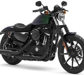 2021 Harley-Davidson Sportster® Iron 883