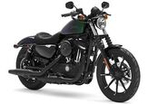 2021 Harley-Davidson Sportster® Iron 883