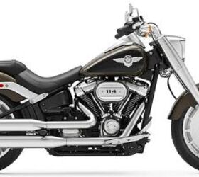 2020 Harley-Davidson Softail® Fat Boy 114