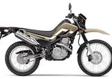 2019 Yamaha XT 250