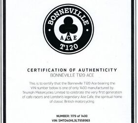 2020 triumph america