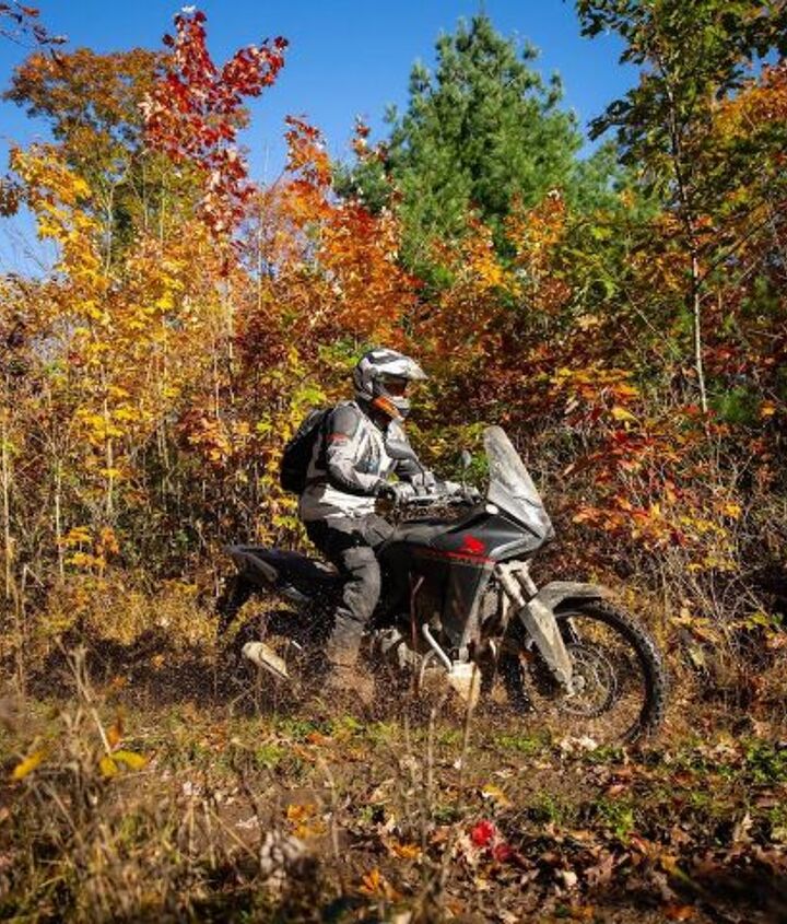 2024 honda transalp review first ride