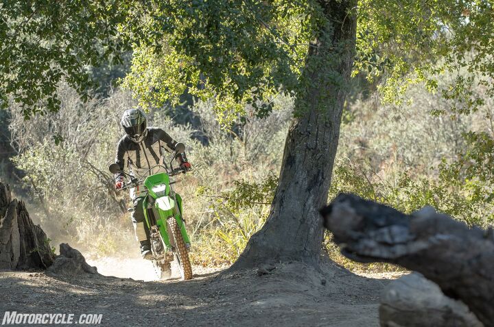 Thanks to how small and light the KLX is, finding your way through trails and between tree stumps is an easy affair.