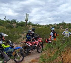 A Rider's Journey: Why the Most Honest Riding Lessons Often Come From Getting It Wrong