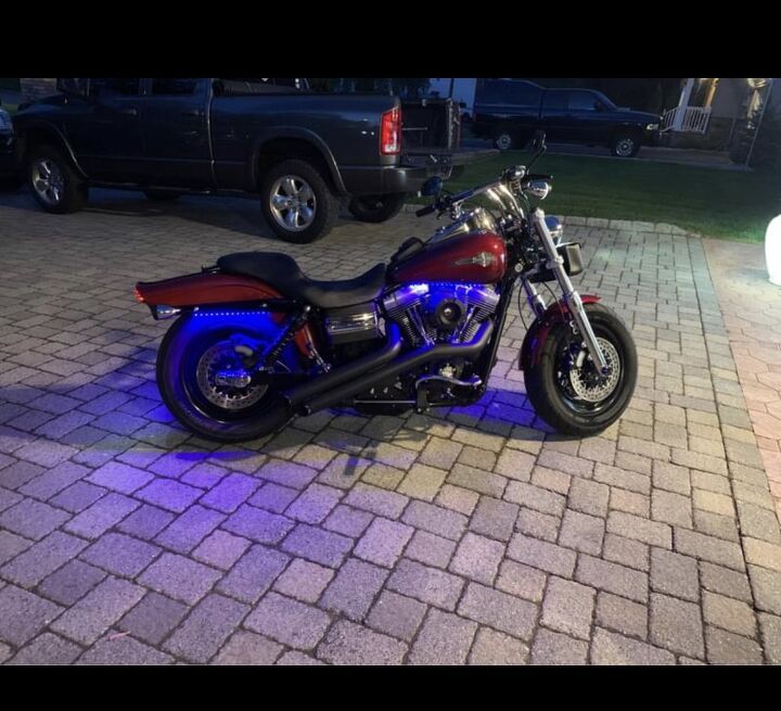 harley fat bob for sale excellent condition and selling well below bo