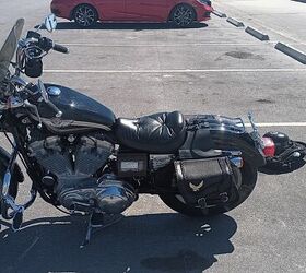 hundred year anniversary sportster