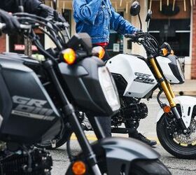 2025 honda grom gallery