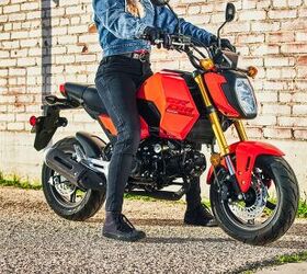 2025 Honda Grom Gallery | Motorcycle.com