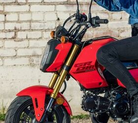 2025 honda grom gallery