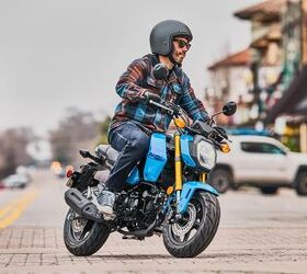 2025 honda grom gallery