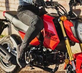 2025 honda grom gallery