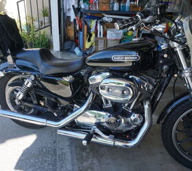 2007 Harley sportster 1200 low