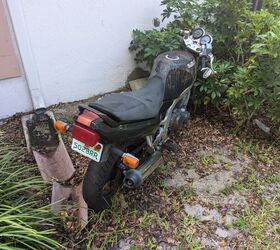 free motorcycle suzuki gs500