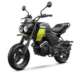 2025 CFMOTO Papio CL