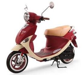 2025 Genuine Scooter Co. Buddy International 50